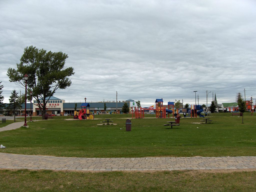 A Few Trees are Staying in Hollinger Park - My Timmins Now